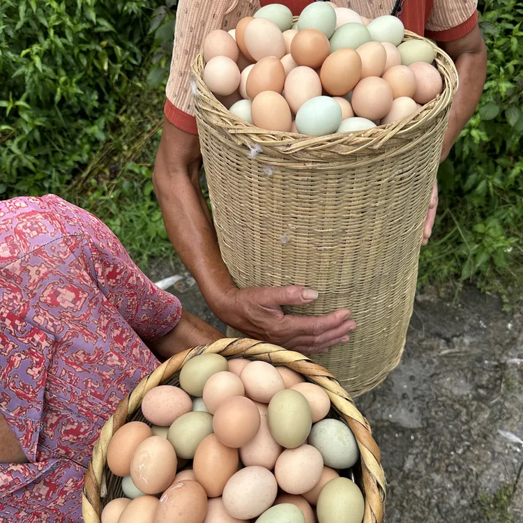 原色原味，蛋香味十足，家乡老品种土鸡，家乡翠香味解馋又美味