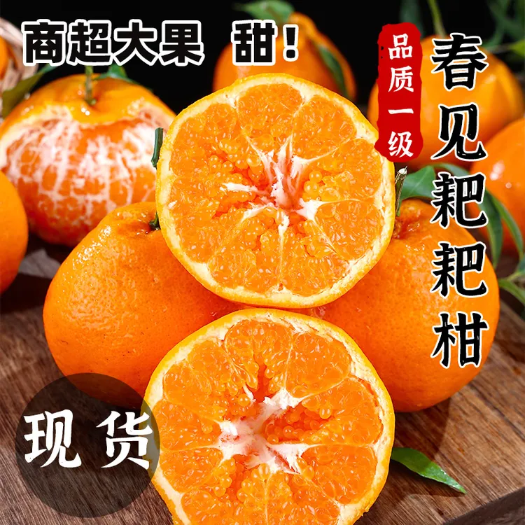 四川春见耙耙柑新鲜水果当季丑八怪橘子粑粑柑桔子3/5/8斤整箱