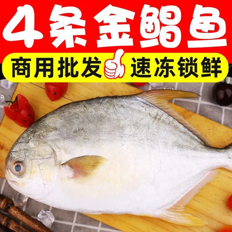 大大号金鲳鱼4条 每条鱼1斤左右的 顺风包邮