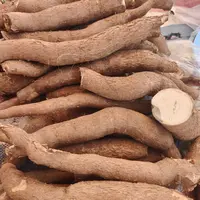 【现场收货】中国邮政木薯食用农产品