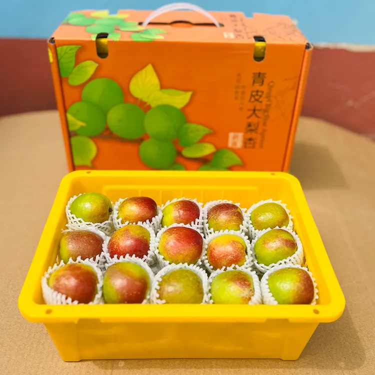 新疆阿克苏青皮大梨杏新鲜当季3斤香甜多汁现摘现发顺丰空运