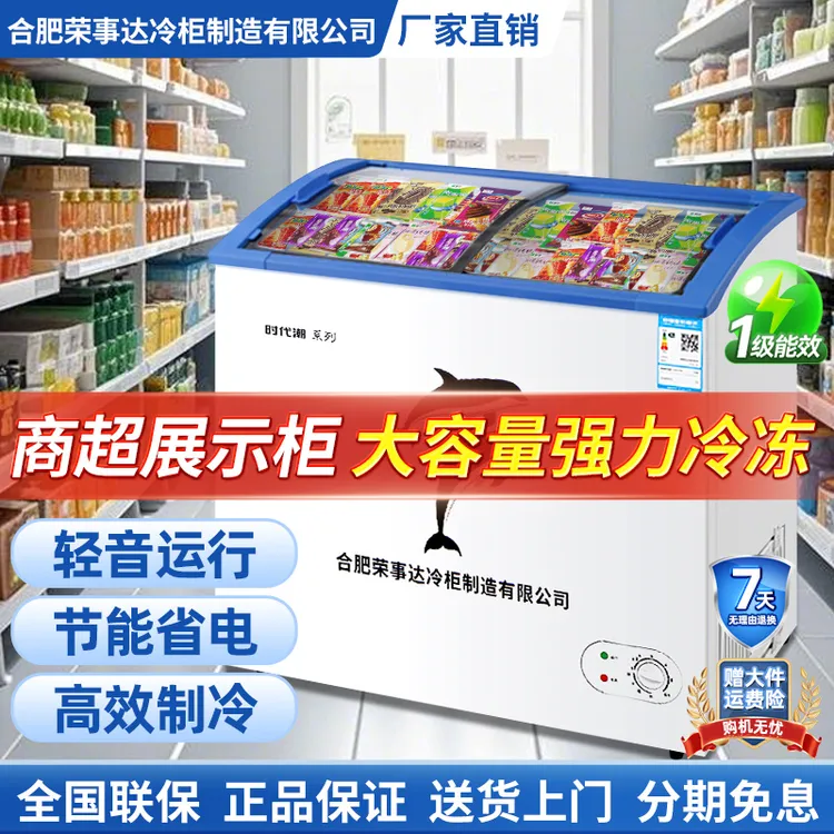 shidaichao/时代潮小型雪糕柜展示柜大容量冷藏冷冻冰柜静音省电