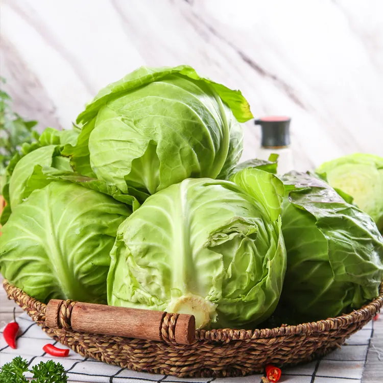 云南新鲜绿甘蓝5斤（2-3颗）