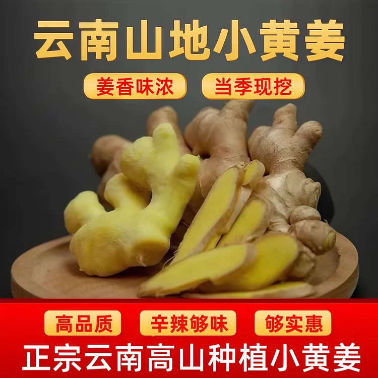 云南小黄姜姜香浓郁醇厚生态生姜健康产地姜新鲜生姜云南小黄生姜