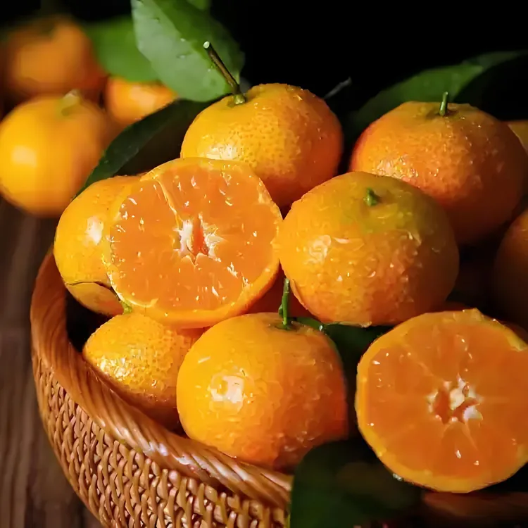 广西桂林金秋砂糖桔纯甜无酸。产地现摘现发顺丰直邮到家