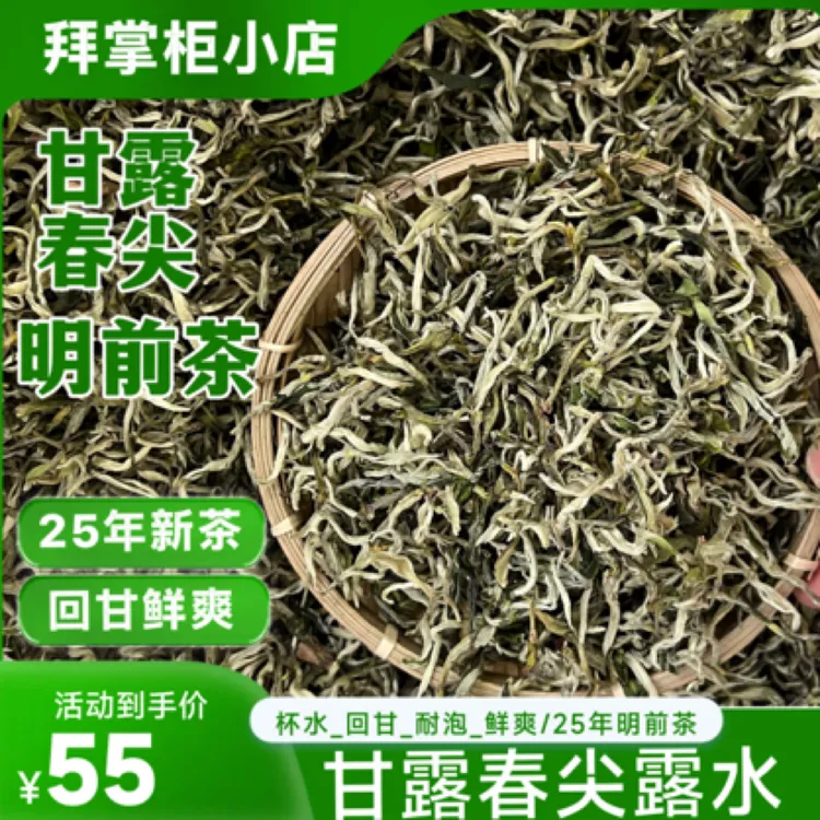 25年明前甘露春尖露水茶