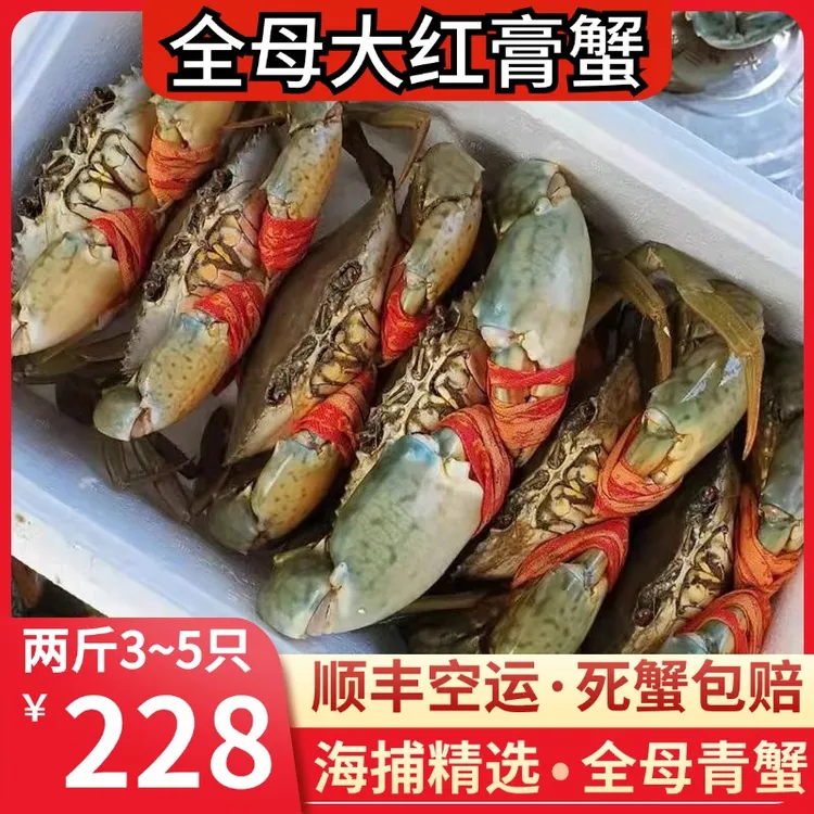 【顺丰活发】活蟹正宗青蟹鲜活全母红膏母蟹特大超大黄油蟹螃蟹膏蟹