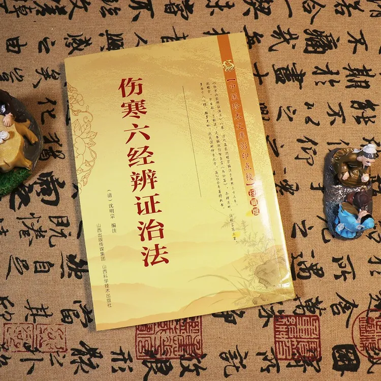 【天地合】伤寒六经辨证治法 沈明宗著 