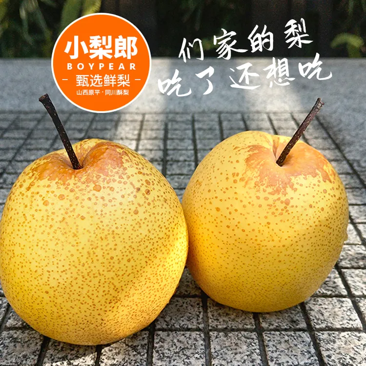 当季新鲜同川蜜汁酥梨皮薄脆甜多汁