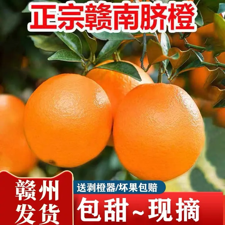 正宗赣南脐橙新鲜采摘产地直发香甜多汁当季应季水果整箱打包发货