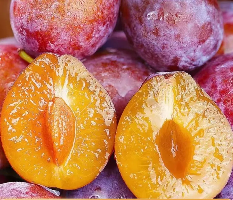 空运法兰西新疆直发大西梅鲜果香甜多汁当季新鲜应季水果