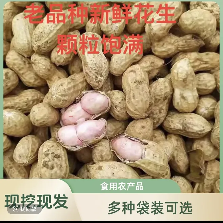 带泥新鲜湿花生现挖现卖可生吃可水煮人工挑选农家自种