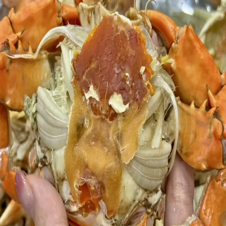 正宗 台山黄油膏蟹（大）