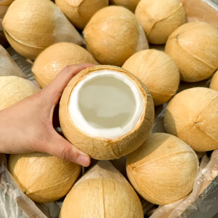 泰国丹嫩沙多核心产区椰皇6-9颗装（400-700g/颗）顺丰京东