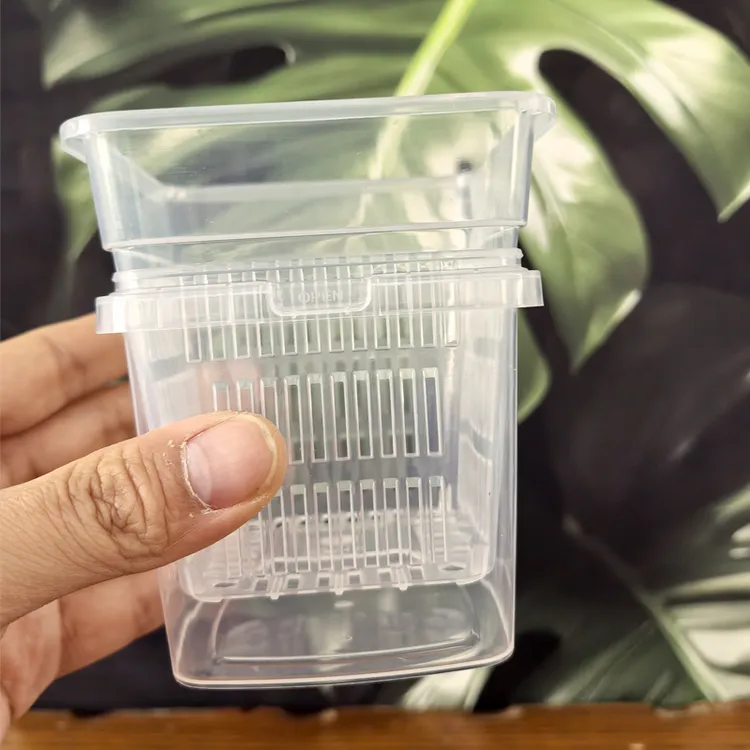 蝴蝶兰套盆透气养根控根半水培免浇水方花盆内外桶搭配套装控根盆