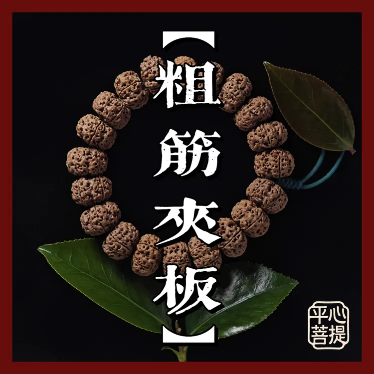 【粗筋夹板】全品无黄夹板矮桩纽扣金刚菩提大金刚手串粗筋大镂空