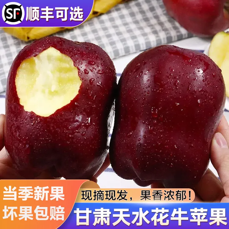 【顺丰】甘肃花牛苹果红蛇果大果200g当季新鲜脆粉两吃宝宝孕妇水果