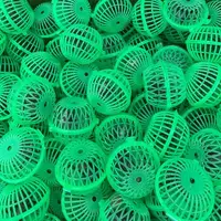 福利·郝建伟绿笼蝈蝈 5个