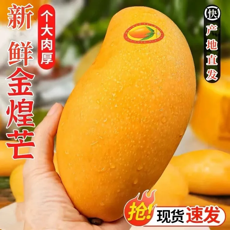 【香甜！多汁S】正宗金煌芒果新鲜采摘香甜软糯多汁新鲜水果整箱包邮商品图