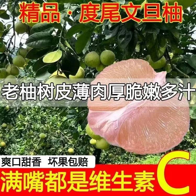 福建仙游度尾红心文旦柚当季新鲜水果酸甜肉嫩多汁皮薄批发无籽