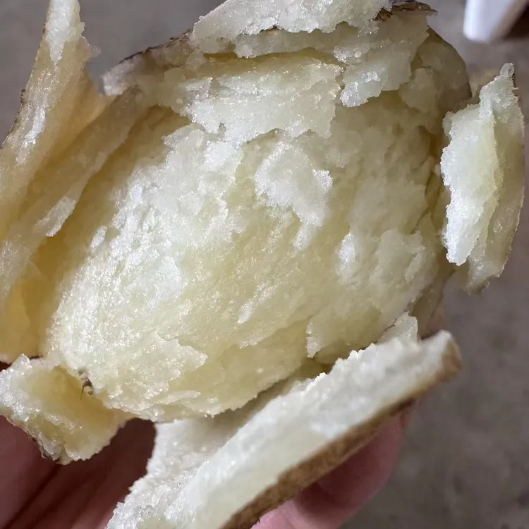 巧家县药山饭大洋芋5斤包邮到家（大果土豆）