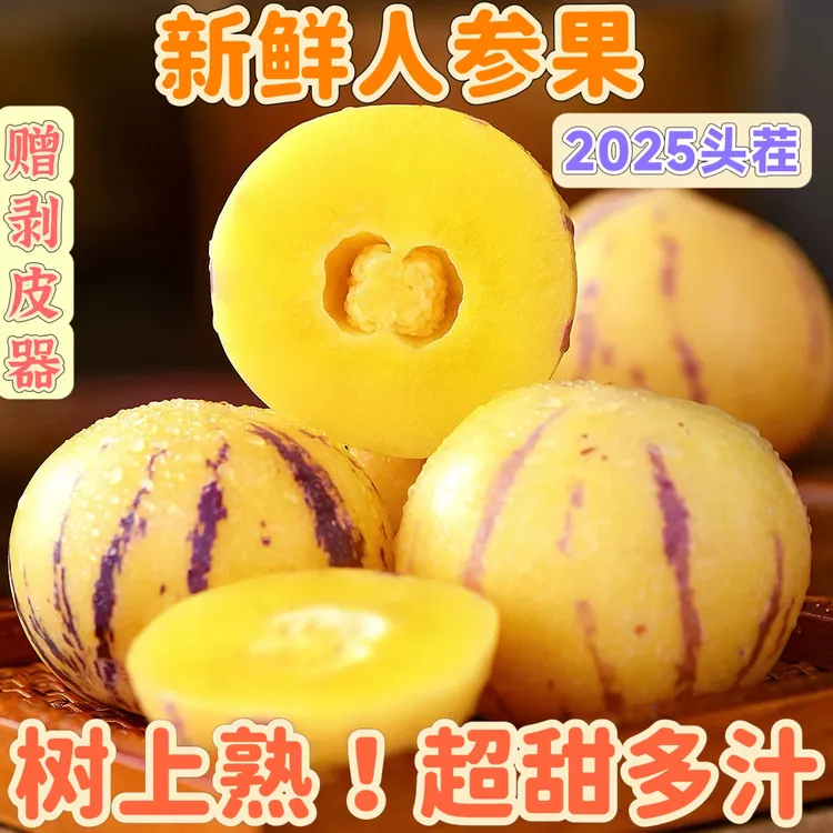 【双11树熟人参果】云南正宗石林人参果产地直发黄心新鲜水果批发价