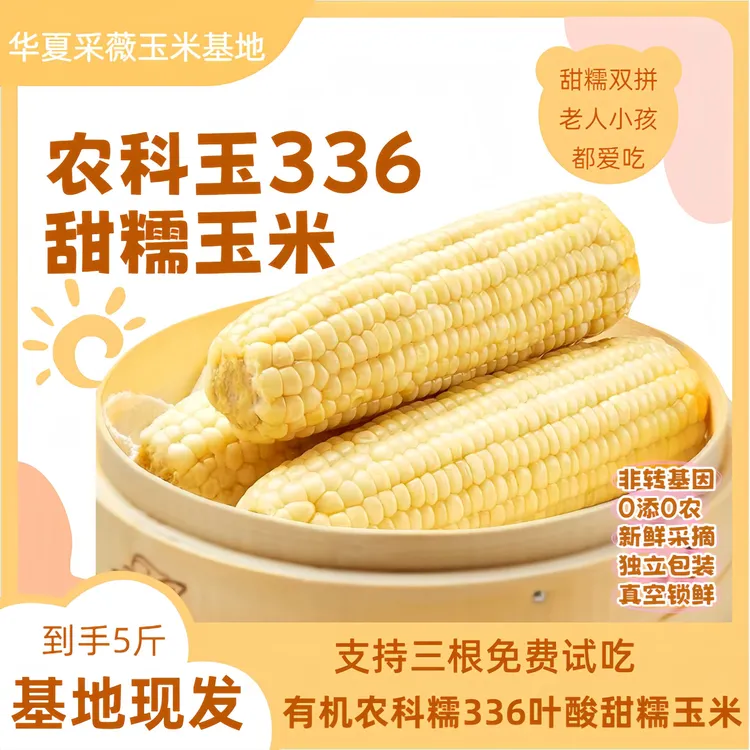 【三根试吃】农科玉农科糯336叶酸当季甜糯玉米棒鲜食当季锁鲜蔬菜