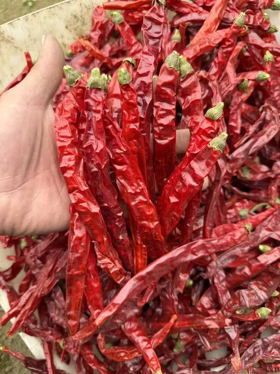 特香二荆条辣椒家中常备干货食材提香