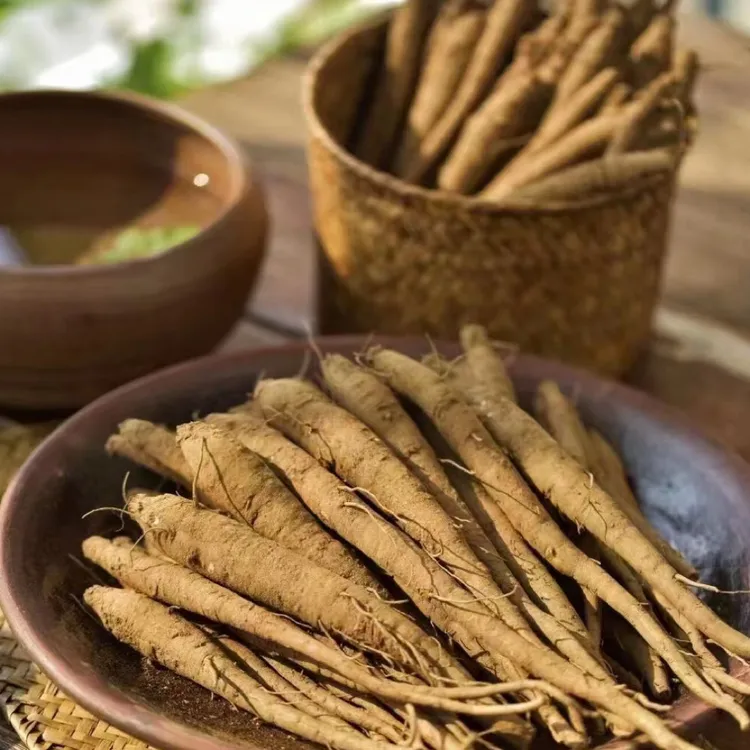 【顺丰快递包邮】四川大凉山当归新鲜甜当归原产地直发煲汤顿肉佳品