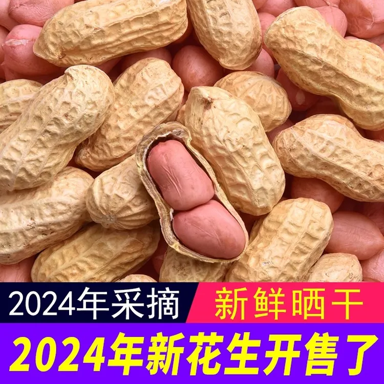 2024年新鲜干花生带壳生花生晒干原味粉红皮白沙花生果米新花生