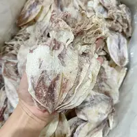 鱿鱼干香煎烧烤手撕