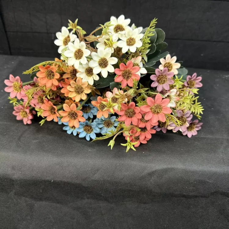 网红花中仙子露微花多肉植物盆栽苗仿真花发货（五只）