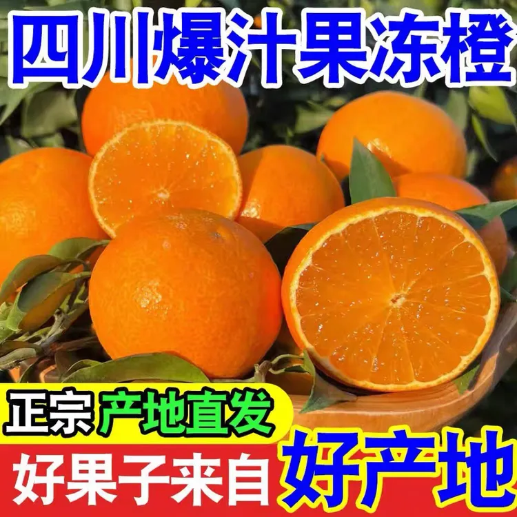 【2025鲜果】四川眉山爱媛38号果冻橙新鲜应季爆甜多汁果园现摘现发