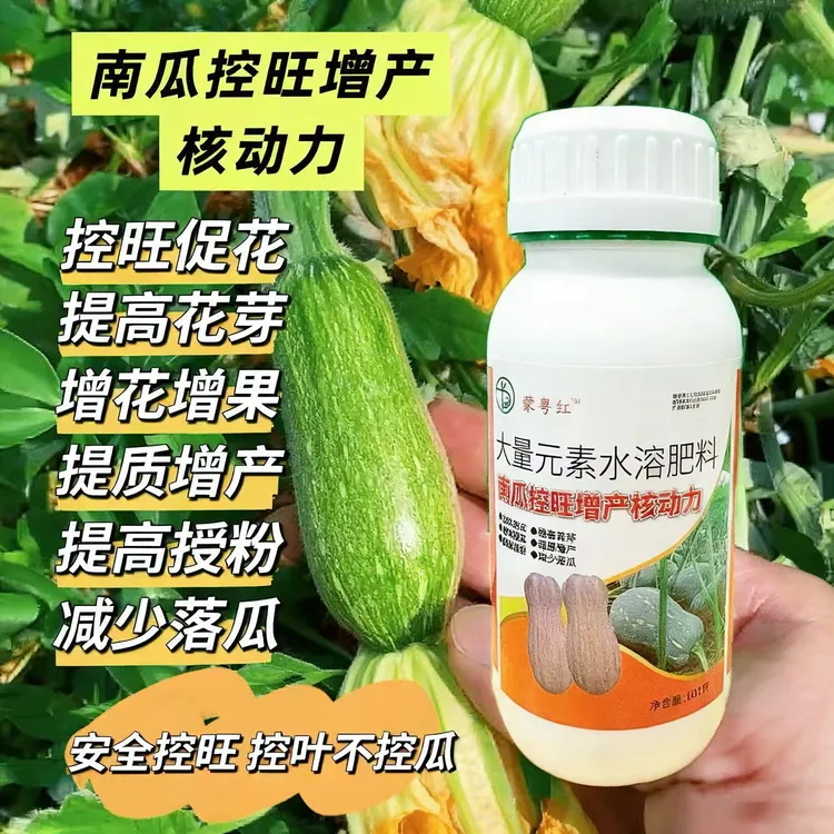 南瓜控旺增产核动力大量元素水溶肥提高花芽授粉增花增果减少落瓜