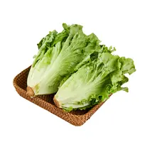 绿叶生菜  400g/份