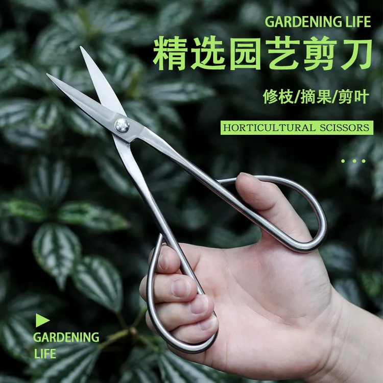 盆景造型制作叶芽剪小枝剪不锈钢尖头剪刀插花园艺多功能剪子