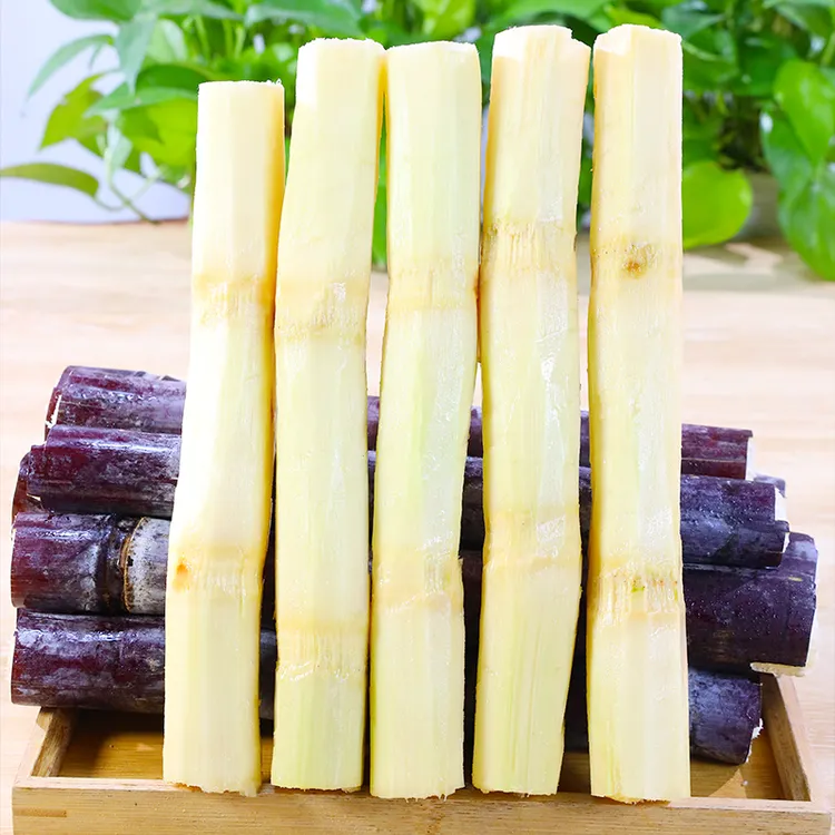 广西黑皮甘蔗5斤9斤新鲜现砍现发脆甜多汁烤大小甘蔗煮水味甜好吃