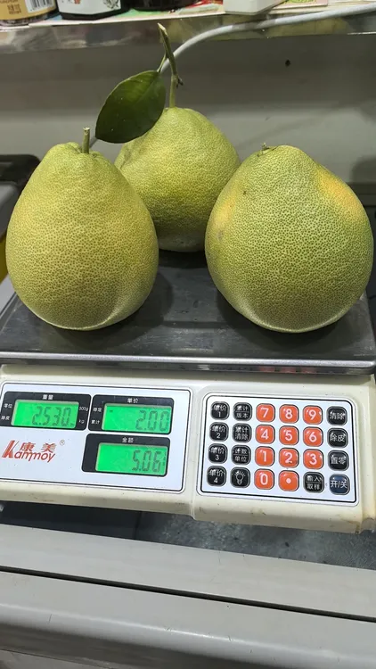 福建仙游度尾正宗红心文旦柚新鲜采摘多汁酸甜孕妇水果