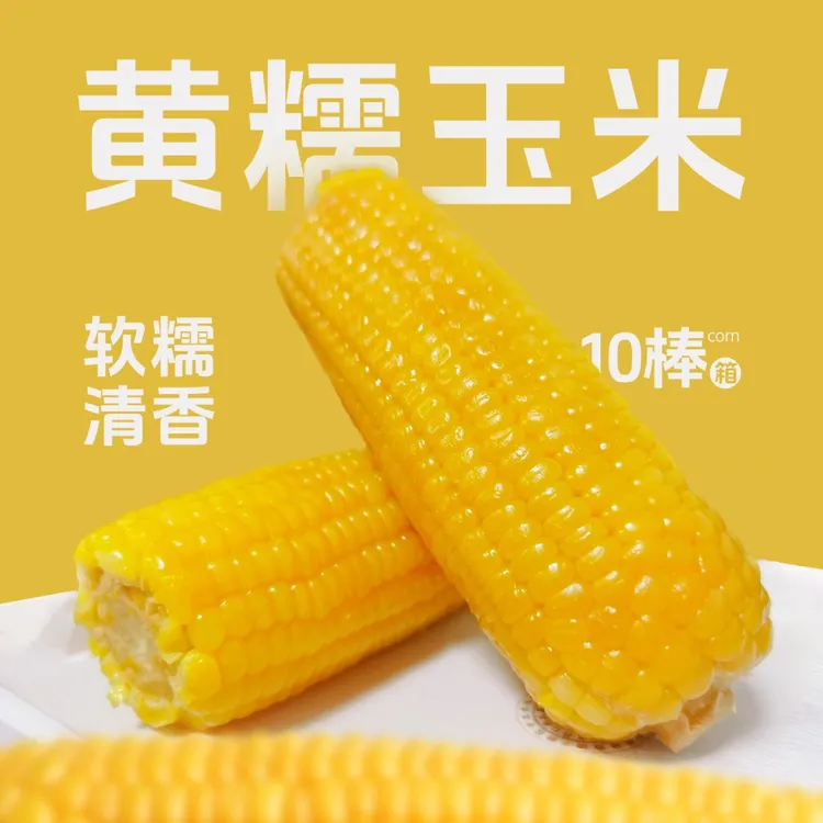 东北黄糯玉米真空锁鲜粘糯有嚼劲东北林区特产嘎嘎好吃10棒尝鲜新