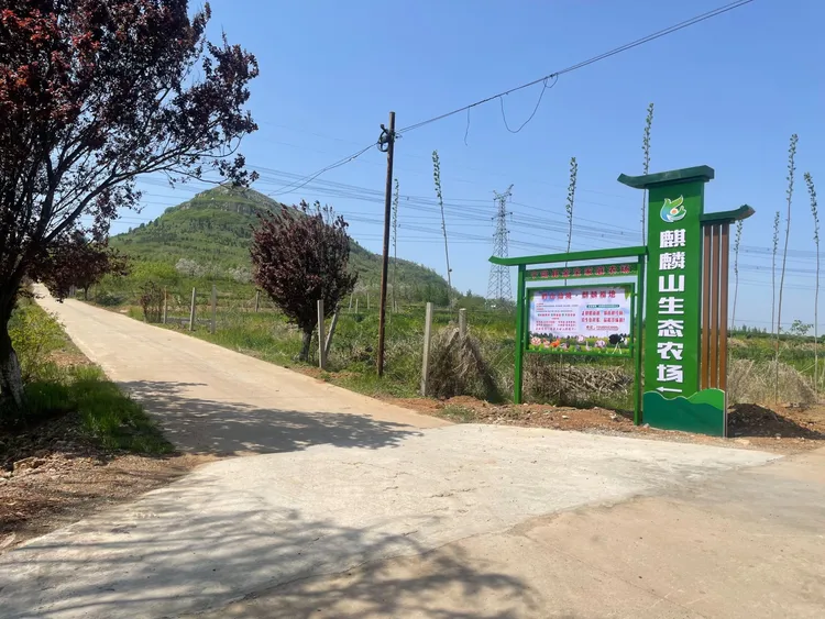 【新品40枚】自家农场山林散养土鸡蛋柴鸡蛋谷物笨鸡蛋营养健康