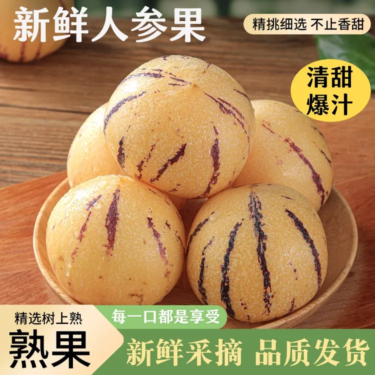 【真•树上熟】云南石林人参果圆果大果黄肉产地直发精品人参果