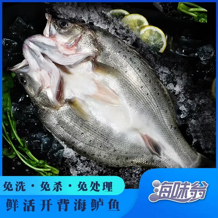 海味翁  2025新鲜 盐渍海鲈鱼 肉质鲜美 腌制冷冻400g/条*3条