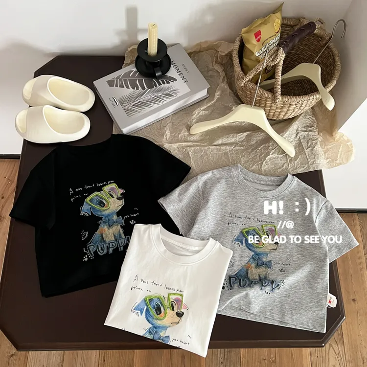 【现货】郝叔童品夏季新款洋气韩版男童短袖T恤2025时尚百搭HZ52119