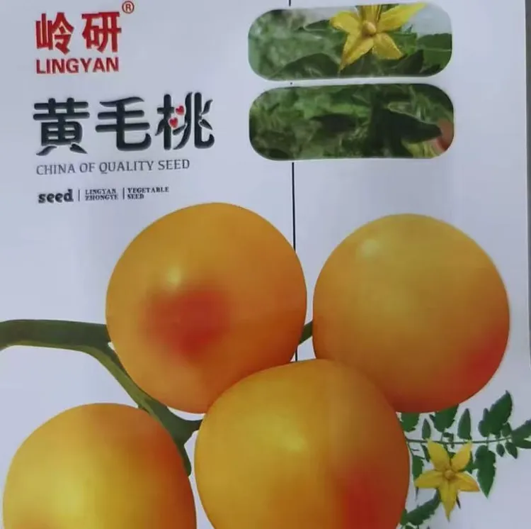 【黄毛桃柿子种子】四季种植盆栽地栽阳台小院种植