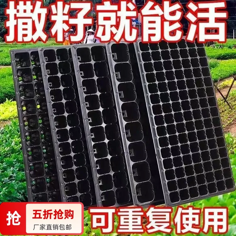 穴盘育苗箱草莓苗多肉插叶苗木西红柿辣椒蔬菜苗托盘培育盆