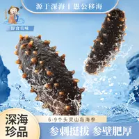 愚公移海 6-9头鲜食海参 1斤/500g装 