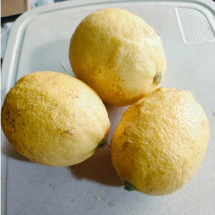 新鲜安岳黄柠檬瑕疵果