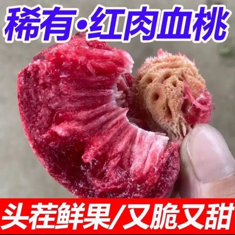 毛桃  湖北露天毛桃 香甜可口老少皆宜新鲜水果果园直发