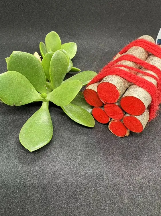 三月砍伐野生毛桃气根七厘米加强朱砂款桃树枝