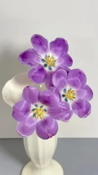 幽梦郁金香10支---（实物以直播间展示为准）